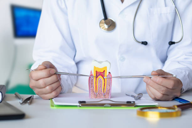 Best Broken or Chipped Tooth Repair in Shanor Northvue, PA